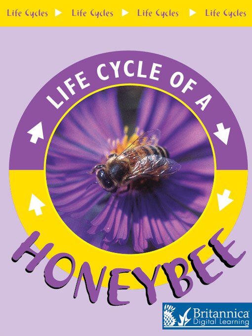Title details for Honeybee by Britannica Digital Learning - Wait list